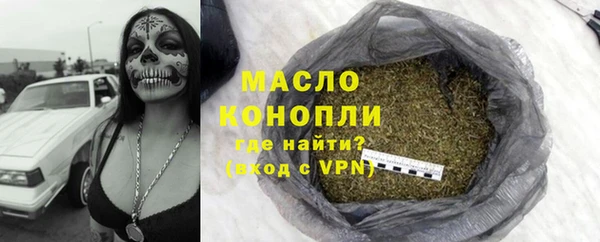 индика Осташков