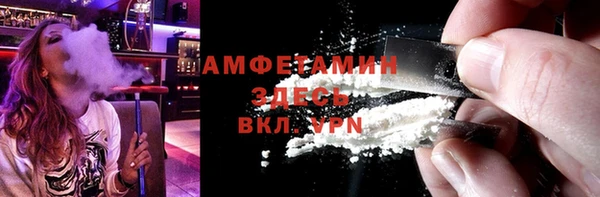 индика Осташков