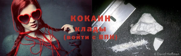 индика Осташков