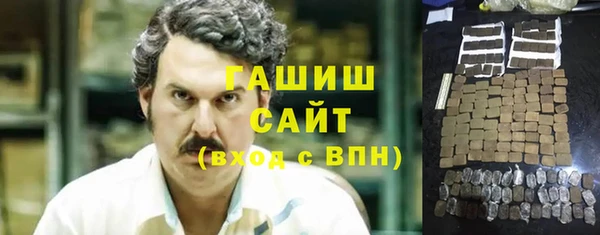 индика Осташков