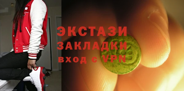 индика Осташков