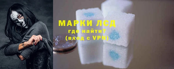 стаф Осинники