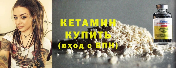 индика Осташков