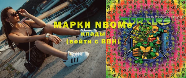 стаф Осинники