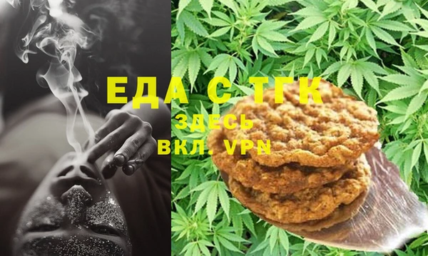 индика Осташков