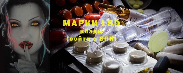 индика Осташков