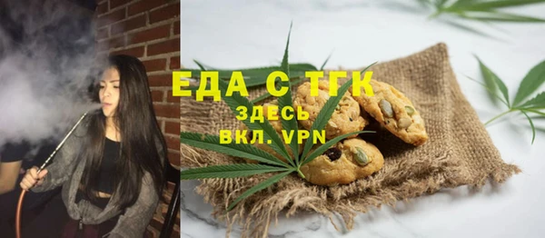 индика Осташков