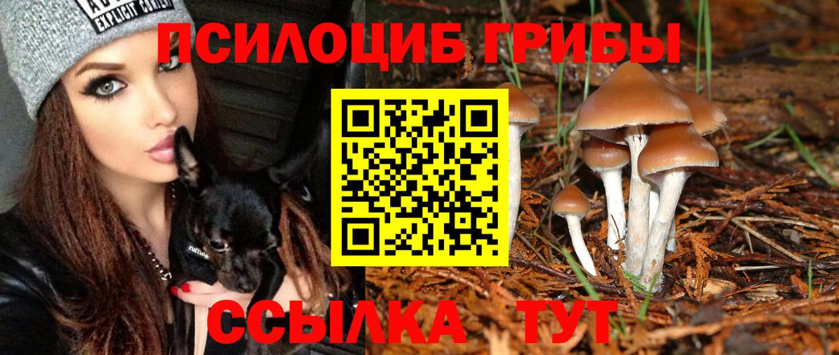 Галлюциногенные грибы MAGIC MUSHROOMS Томск