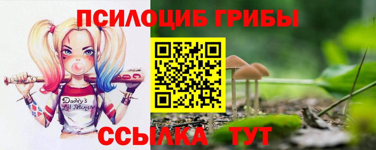 Томск  Галлюциногенные грибы мицелий  Вход с VPN  Галлюциногенные грибы Cubensis 