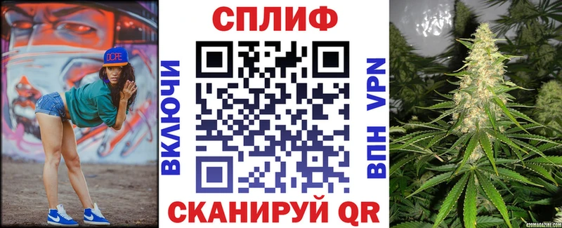 Конопля планчик Томск